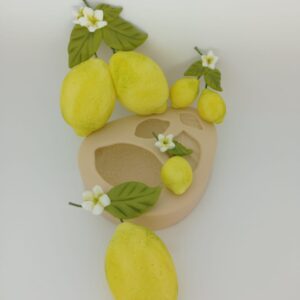 Molde Limão Siciliano - 5 cm
